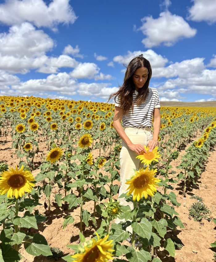 La Magia de los Girasoles: Belleza, Nutrición y Tradición